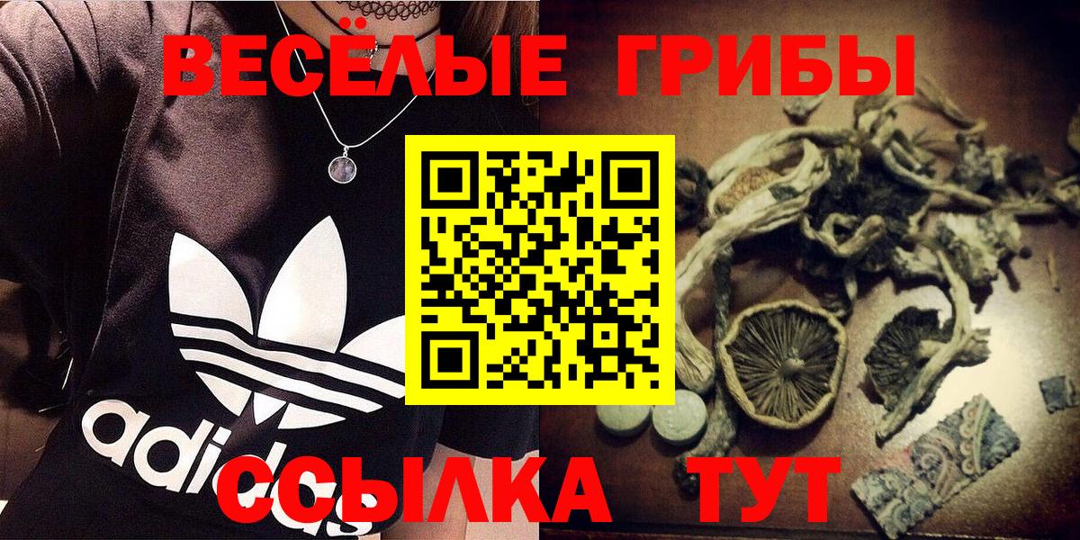Псилоцибиновые грибы прущие грибы  Вход с VPN  Чернушка 