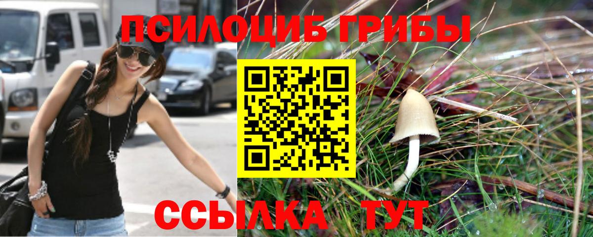 Псилоцибиновые грибы прущие грибы Чернушка