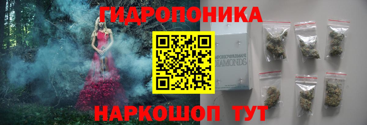 Каннабис план  Вход с VPN  МАРИХУАНА LSD WEED  Конопля ГИДРОПОН  Чернушка 